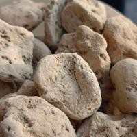 ราคา หินภูเขาไฟ Pumice Stone ถุงใหญ่ ขนาด 4ลิตร เบอร์00 เบอร์01 เบอร์02 เบอร์XL ไซส์ปิงปอง หินภูเขาไฟแท้ 100 (18574295000)