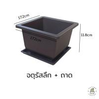 ราคา กระถางแคคตัส กระถางบอนไซ กระถางกระบองเพชร กระถางพลาสติก กระถางทรงผืนผ้า ทรงจตุรัส (17433391464)