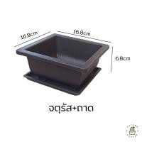 ราคา กระถางแคคตัส กระถางบอนไซ กระถางกระบองเพชร กระถางพลาสติก กระถางทรงผืนผ้า ทรงจตุรัส (17433391460)