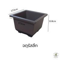 ราคา กระถางแคคตัส กระถางบอนไซ กระถางกระบองเพชร กระถางพลาสติก กระถางทรงผืนผ้า ทรงจตุรัส (17433391463)