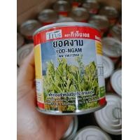 ราคา ยอดงาม ฟักทองเก็บยอด (19330525797)