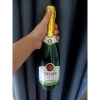 ราคา พรีเมียร์ซาลูทน้ำองุ่นแดงอัดก๊าซ750mlให้ความซ่าไม่เหมือนใครดื่มแล้วซ่าไม่รู้จบ สปายองุ่น ไวน์องุ่น ไวน์นำเข้า น้ำองุ่นแท้ น้ำผลไม้ (16630685035)