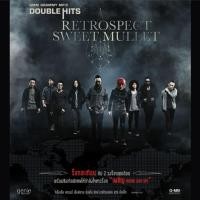 ราคา MP3 Double Hits Retrospect Sweet Mullet แผ่น CD USB แฟลชไดร์ฟ (17438383240)