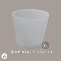 ราคา กระถางรอนใส ขุ่น ชุดกระถาง พร้อมถาดรอง เกรดพรีเมี่ยม หนา ดีไซส์สวย 4 5 7 นิ้ว (17426467879)