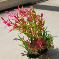 ราคา ส่งเร็ว ของตกแต่งตู้ปลา ของเล่นปลา ต้นไม้ตกแต่งตู้ปลา 5 10ต้น ต้นไม้พลาสติก ต้นไม้ปลอม ตกแต่งตู้ปลา พิพิธภัณฑ์สัตว์น้ำ 4 9cm สุ่มแบบ (16499024748)