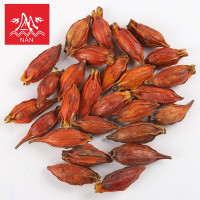 ราคา เม็ดพุทหรือเม็ดเก็กฮวย500กรัมราคา支籽เมล็ดพันธุ์ (19449440494)