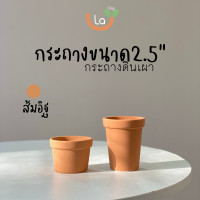 ราคา กระถางดินเผาเนื้อเนียน กระถางแคตตัส ขนาด2 5นิ้ว (11031426242)