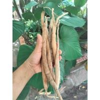 ราคา สมุนไพรราก สามสิบ ครึ่ง1กก หัวกึ่งสดกึ่งแห้ง (20176593806)