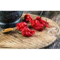 ราคา 20 เมล็ด เมล็ดพริก สายพันธุ์ CAROLINA REAPER พริกเผ็ดที่สุดในโลก อัตราการงอก 70 80 Strawberry seeds (9079288719)