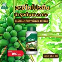 ราคา มะละกอ โตไว ใบเขียว ผลดก ผลใหญ่ แข็งแรง ผลผลิตดี อะมิโนโปรตีนจำเป็นสำหรับพืช 18 ชนิด อะมิโนแรปเตอร์ โดย ไดโนเร็กซ์ (18510698126)