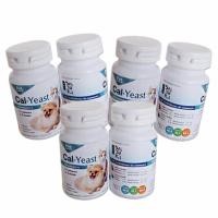 ราคา Daisuki Cal Yeast อาหารเสริมแร่ธาตุ แคลเซียมบำรุง สุนัขและแมว 6 กระปุก (105928505)