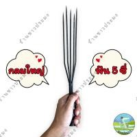 ราคา ฉมวก ฉมวกมีเงี่ยง ฟัน 6 ซี่ ฉมวกกลม ฉมวกแบน ฟัน 7 ซี่ 5 ซี่ ฉมวกหาปลา ฉมวกแทงปลา ไม้แทงปลา แหลมแทงปลา ฉมวกแทงงู ฉมวกเหล็ก ฉมวกแทงสัตว์ (19778391156)