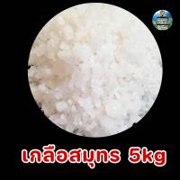 ราคา เกลือสมุทร เกลือเลี้ยงปลา เกลือทะเล เกลือเม็ด เกลือขัดผิว เกลือสปา แช่เท้า ดองผัก (19817372809)