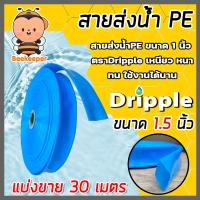 ราคา สายส่งน้ำ PE Dripple ขนาด 1 5 นิ้ว สีน้ำเงิน ใส ตัดแบ่งขาย 1 100 เมตร สายพีอีส่งน้ำ สายพลาสติกส่งน้ำ สายส่งน้ำ สายPE สายลำเรียงน้ำ (16370547924)