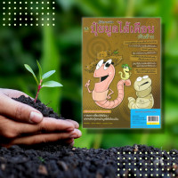 ราคา หนังสือ คู่มือการผลิต ปุ๋ยมูลไส้เดือนเงินล้าน สายพันธุ์ไส้เดือนดินที่นิยมเลี้ยงในไทย แนะนำมือใหม่ในการเลี้ยงไสเดือน (14830606763)