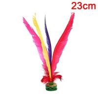 ราคา RAI GUDE001เจียนซีจีนฟุตบอลเตะ Handwheel แฟนซีขนไก่ขนห่านฟิตเนส (16607478091)