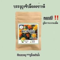 ราคา เมล็ดพันธุ์ ดอกคำฝอย 80 เมล็ด อัตราการงอกสูง เมล็ดพันธุ์ op แท้ (15650050601)