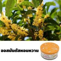 ราคา น้ำหอมปรับอากาศ มีให้เลือก 5 กลิ่น น้ำหอมในรถยนต์ น้ำหอมปรับอากาศในรถยนต์ ระงับกลิ่นกายในห้องน้ำ สเปรย์ปรับอากาศ หอมยาวนาน (16406169049)