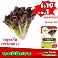 ราคา ซื้อ10แถม1 ฟรีคู่มือ เมล็ดพันธุ์ เรดมินิคอส RED MINICOS 0 5กรัม ประมาณ 500เมล็ด เบบี้คอส ทำมะชาดฟาร์ม ผักสลัด เมล็ดพันธุ์สลัด เมล็ดสลัด (2490020037)