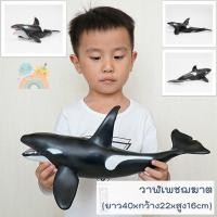 ราคา COD โมเดลสัตว์ทะเลตัวใหญ่ พร้อมส่ง ไซส์จัมโบ้ ไม่บาดมือ ขนาดใหญ่ โมเดลสัตว์ทะเล โมเดลปลาฉลาม โมเดลวาฬ Marine Animal (19189992620)