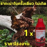 ราคา 1หยดต้นไม้ใหญ่ก็ตาย สารกำจัดกอไผ่ ยาฆ่าต้นไม้ ผงกำจัดต้นไม้ เหมาะสำหรับกำจัดวัชพืช ต้นไม้ และไผ่ทุกชนิด ไม่ทำลายดิน ยาฆ่าไผ่ สารกำจัดต้นไม้ ผงฆ่าต้นไม้ ผงกำจัดกอไผ่ ปุ๋ยกำจัดกอไผ่ ผงกำจัดต้นไผ่ ยาฆ่าไ