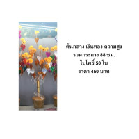 ราคา ต้นกฐิน ต้นผ้าป่า ใบโพธิ์เงิน โพธิ์ทอง โพธิ์หลายสี เล็ก กลาง ใหญ่ (7964643988)