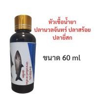 ราคา หัวเชื้อน้ำยาสำหรับตกปลา หัวเชื้อตกปลาแบบขวด หัวเชื้อตกปลา หัวเชื้อผสมอาหารปลา น้ำยาผสมอาหาร หัวเชื้อผสมเหยื่อตกปลา (13969982835)