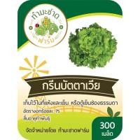 ราคา ทำมะชาดฟาร์ม มีคู่มือ 10แถม1 500 2000เมล็ด เมล็ดพันธุ์ ผักสลัด กรีนโอ๊ค คอส ฟิลเลย์ สลัดแก้ว บัตเตอร์เฮด ผักกาดหอมอิตาลี่ ไฮโดรโปรนิกส์ (2476660303)