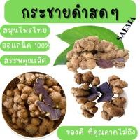 ราคา กระชายดำ สดจากสวน กระชายดำหัวสด กระชายดำแท้100 หัวกระชายดำ กระชายดำผสมโสม กระชายดำผง กระชายดำอบแห้ง กระชายดำสดๆ (16355275901)