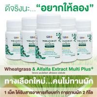 ราคา ขายราคาส่ง ผักเม็ด 1 กระปุก 30 เม็ด Wheatgrass Alfalfa Extract Multi Plus Q10 (10542892472)