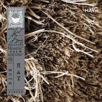 ราคา KARMAKAMET Original Room Perfume Diffuser Single คามาคาเมต ก้านไม้หอมกระจายกลิ่น น้ำหอมบ้าน ก้านไม้หอม น้ำหอมปรับอากาศ บ้านหอม (1717964761)