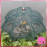 ราคา แถมอาหารปลา มุ้งดักปลา 4ช่อง 6 ช่อง 8 ช่อง 10 ช่อง ที่ดักกุ้ง ที่ดักปลา ตาข่ายดักปลา กระชังดักปลาS104 (7119376776)