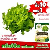 ราคา ซื้อ10แถม1 ฟรีคู่มือ เมล็ดพันธุ์ กรีนโอ๊ค เมล็ดขาว GREEN OAK 0 5กรัม ประมาณ 500เมล็ด ทำมะชาดฟาร์ม ผักสลัด เมล็ดพันธุ์สลัด เมล็ดสลัด เม็ดผักสลัด (15806617000)