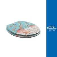 ราคา HomePro ฝารองนั่ง POLYRESIN MOYA 20EVP01 ปลานีโม แบรนด์ MOYA (17424504202)