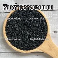 ราคา หินดำเงาขอบมน หินโรยหน้ากระถาง หินโรยหน้าดิน หินแคคตัส (20151428854)