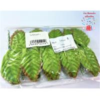 ราคา ใบกุหลาบ ใบไม้ ใบไม้ปลอม No 2 3 4 5 6 7 8 ใน 1 ห่อ มี 100 ใบ (12494154311)