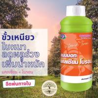 ราคา แคลเซียม โบรอน ลดผลร่วง เพิ่มน้ำหนัก แมมมอท แคลเซียมโบรอน 1ลิตร (10038789129)