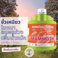 ราคา แคลเซียม โบรอน ลดผลร่วง เพิ่มน้ำหนัก แมมมอท แคลเซียมโบรอน 4ลิตร (10038779229)