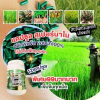 ราคา ผงดำ นาโน บิ๊กแคปซูล บำรุงพืช 1ชุดมี12แคปซูล (19484467051)