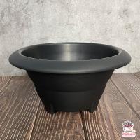 ราคา กระถาง 12 นิ้ว กระถางชวนชม กระถางกระบองเพชร กระถางพลาสติก กระถางต้นไม้ (8786664831)