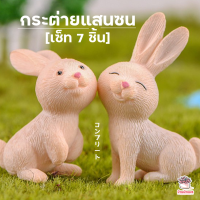ราคา กระต่ายแสนซน เซ็ท 7 ชิ้น ตุ๊กตาจิ๋ว โมเดลจิ๋ว แต่งสวน (2789584724)