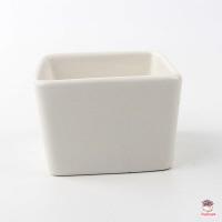 ราคา กระถางเซรามิค สีขาว กระถางแคคตัส กระถางกระบองเพชร ไม้อวบน้ำ cactus succulent (16960684860)