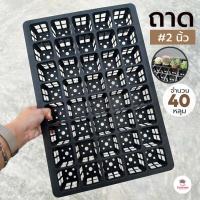 ราคา ถาด 2 นิ้ว 40 หลุม ถาดหลุม ถาดหลุมสี่เหลี่ยม ถาดใส่กระถาง 2 นิ้ว ถาดวางต้นไม้ (17537036569)