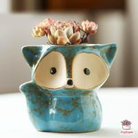 ราคา กระถางดินเผาเคลือบสี ลายหมาจิ้งจอก กระถางต้นไม้ ไม้อวบน้ำ กุหลาบหิน cactus succulentหลากหลายสายพันธ์ (4630230869)