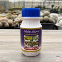 ราคา Golden Flower ยากันรา กันแมลง เร่งราก เร่งดอก 250 ซีซี ไม้อวบน้ำ กุหลาบหิน กระบองเพชร cactus succulent (12428493706)