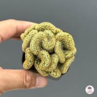 ราคา นิ้วทองคริส Mammillaria Elongata cristata กระบองเพชร แคคตัส ไม้อวบน้ำ cactus succulent (5193782747)