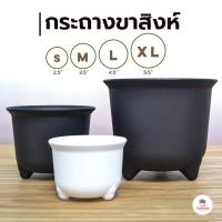 ราคา กระถางขาสิงห์ กระถางแคคตัส กระถางกระบองเพชร กระถางไม้อวบน้ำ กระถางพลาสติก กระถางต้นไม้ (8474699295)