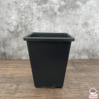 ราคา กระถาง 6 นิ้ว สี่เหลี่ยมทรงสูง P U SP 060 กระถางกระบองเพชร กระถางพลาสติก กระถางต้นไม้ (9084112133)