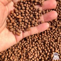 ราคา ถุงละ 1 ลิตร เม็ดปอปเปอร์สีอิฐ ดินเผาโรยหน้า Clay Popper (4529850122)