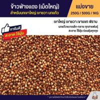 ราคา ข้าวฟ่างแดง อาหารนก หนูแฮมสเตอร์ อาหารนกเขาใหญ่ เขาชวา นกแก้ว สะอาด ร่อนฝุ่นทุกถุง แบ่งขาย 250G 500G 1KG (13674413573)